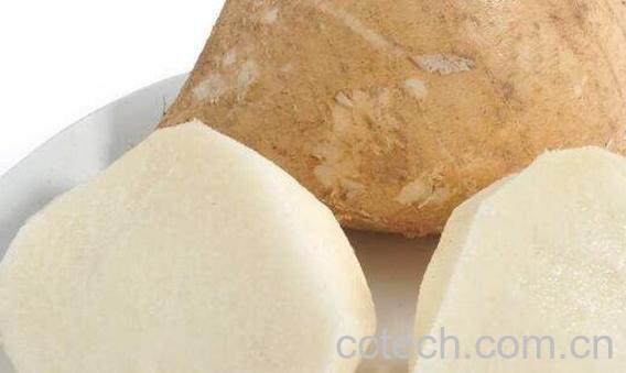 土瓜怎么吃最有营养 土瓜怎么做好吃-1