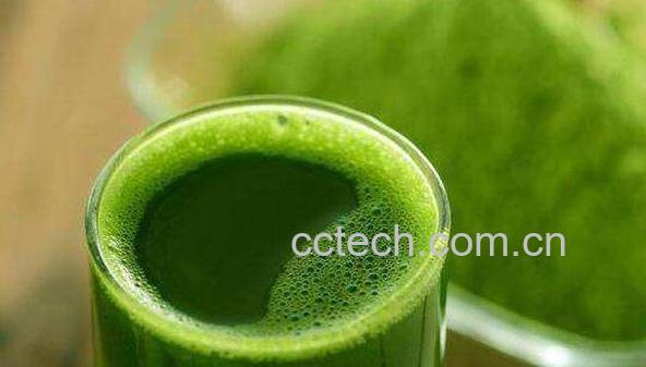 大麦青汁的作用与功效-0