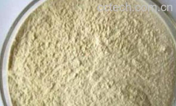 白芸豆粉的功效与作用及食用方法-0