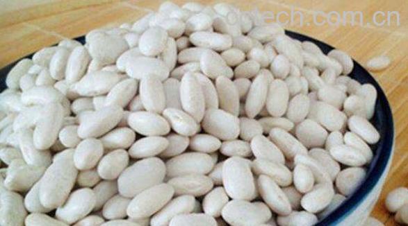 白芸豆粉的功效与作用及食用方法-1