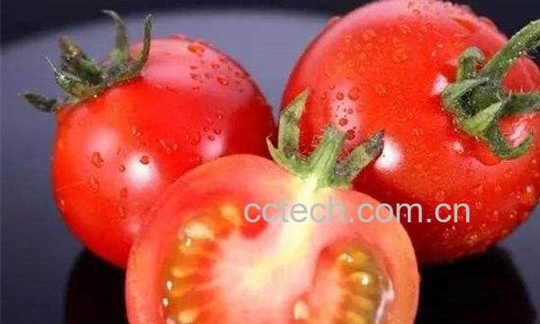 西红柿籽-0