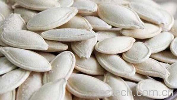 南瓜子的功效与作用 什么人不适合吃南瓜子-1