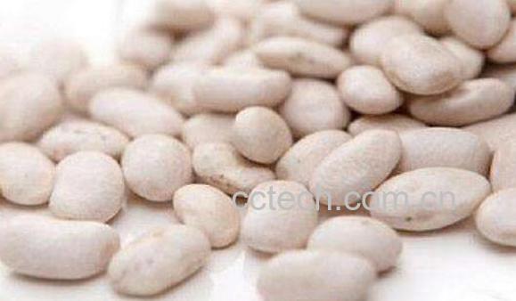 白芸豆的副作用和禁忌-0