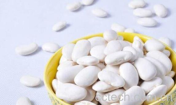 白芸豆的副作用和禁忌-1