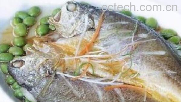 大黄鱼怎么做好吃 大黄鱼的食用方法-0