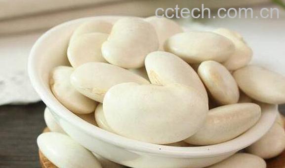 白芸豆怎么吃 白芸豆的做法大全-1