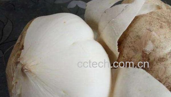 生吃土瓜的功效与作用 生吃土瓜有什么好处-1