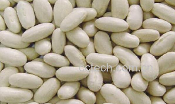 白芸豆怎么吃 白芸豆的做法大全-0