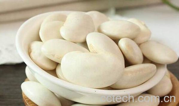 大白芸豆的功效与作用-0