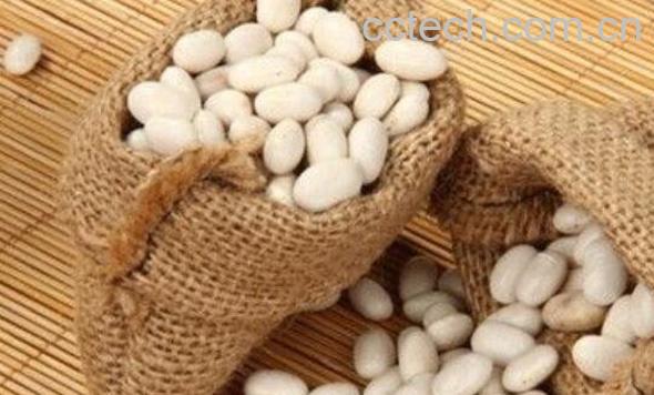 大白芸豆的功效与作用-1
