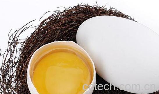 女性长期吃鹅蛋的好处 鹅蛋不能和什么一起吃-0