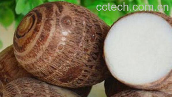 芋艿的功效与作用 芋艿的营养价值-1