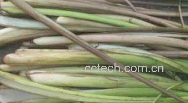 芋荷梗的副作用 吃芋荷梗的禁忌-0