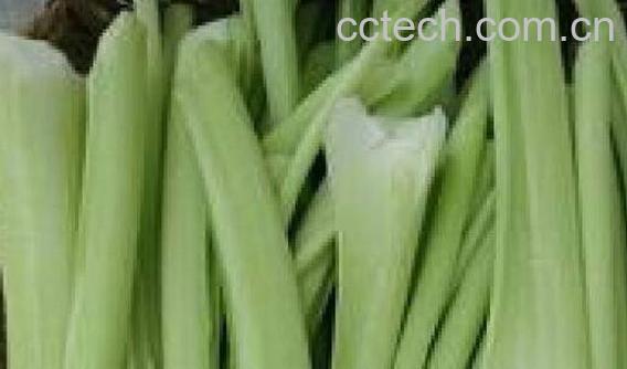 芋荷梗的副作用 吃芋荷梗的禁忌-1