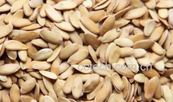 黄瓜籽和香瓜子的区别 黄瓜籽的功效-0