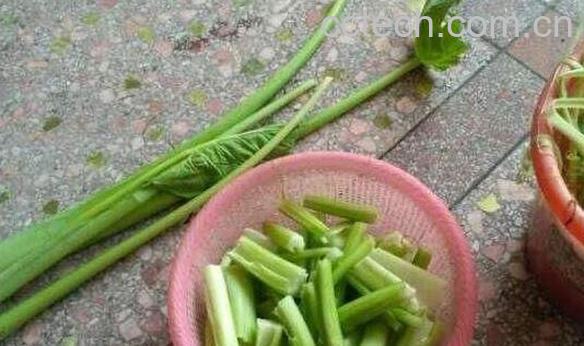芋荷梗是什么 芋荷梗怎么吃-0