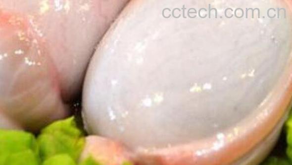 羊胆怎么吃 羊胆怎么做好吃-0