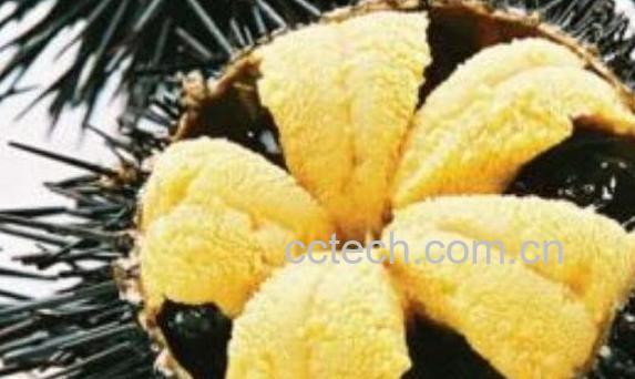 日本海胆酱如何做 日本海胆酱的做法教程-1