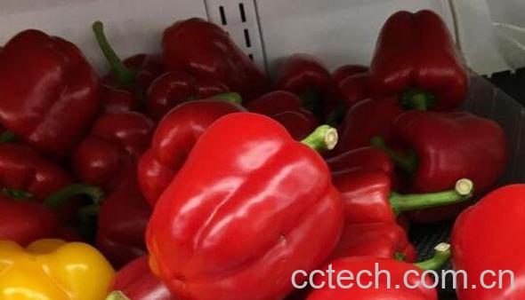 红青椒的营养价值 红青椒的功效与作用-1