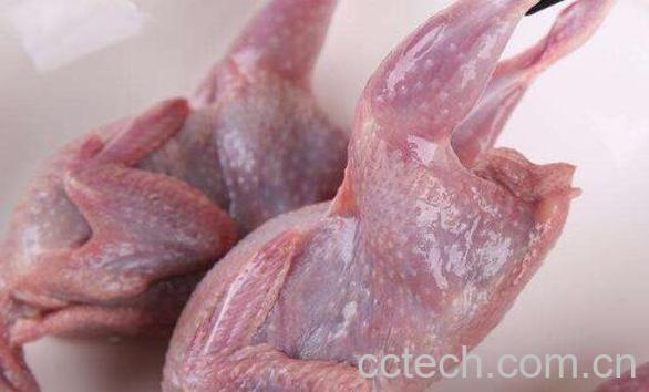 鹌鹑的营养价值 吃鹌鹑肉有什么好处-0