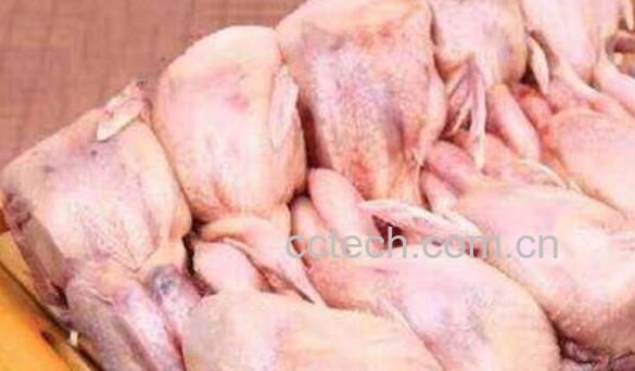 鹌鹑的营养价值 吃鹌鹑肉有什么好处-1