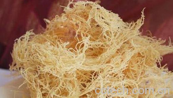 石花菜的营养价值 石花菜的食用方法-0