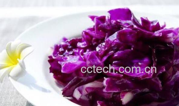 紫甘蓝的营养价值 紫甘蓝怎么吃最有营养-0