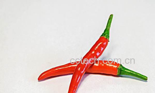 红辣椒-0