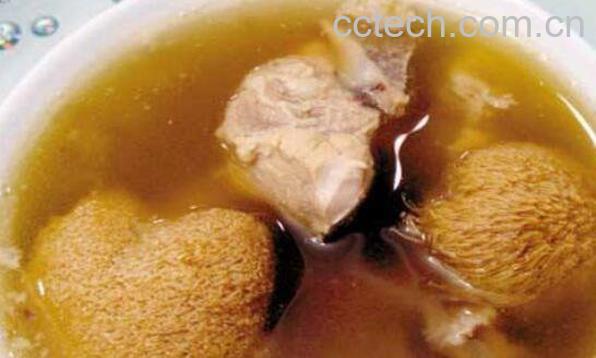 野生猴头菇怎么做好吃 野生猴头菇的食用方法-1