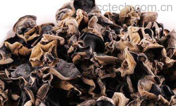 野生木耳能吃吗 野生木耳的功效与作用-1