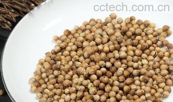 芫荽籽的功效与作用 芫荽籽的药用价值-1