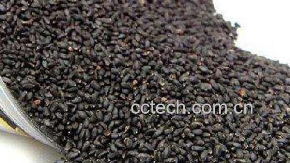 罗勒籽的功效与作用 罗勒籽的副作用-0