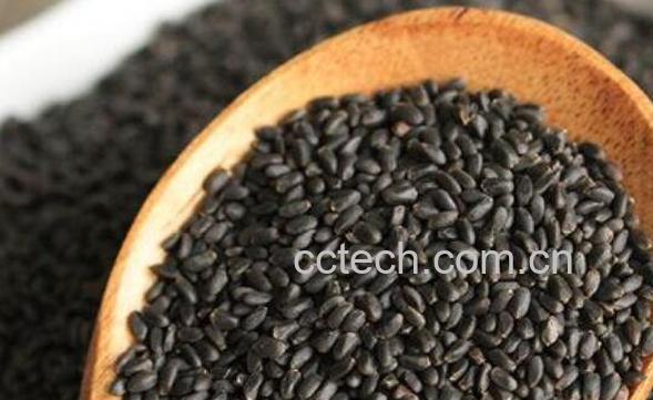 罗勒籽的功效与作用 罗勒籽的副作用-1