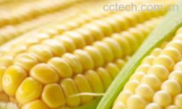 孕妇便秘吃什么最有效 孕妇便秘适合吃的食物-0