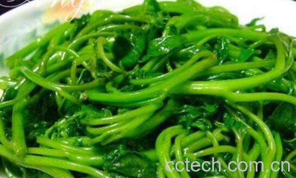 地瓜叶子怎么做好吃 地瓜叶的做法教程-0