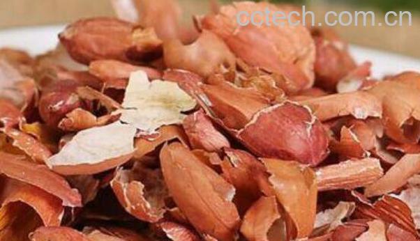 花生皮的功效与作用及食用方法-1