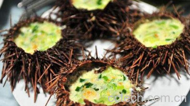 海胆的营养价值 吃海胆的好处与功效-1