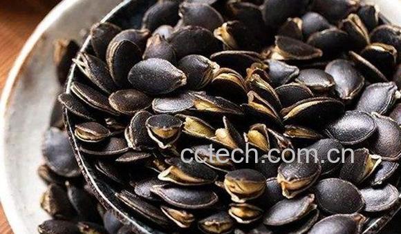 黑南瓜子-0