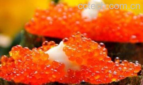 飞鱼籽是什么鱼的籽 飞鱼籽的营养价值-1