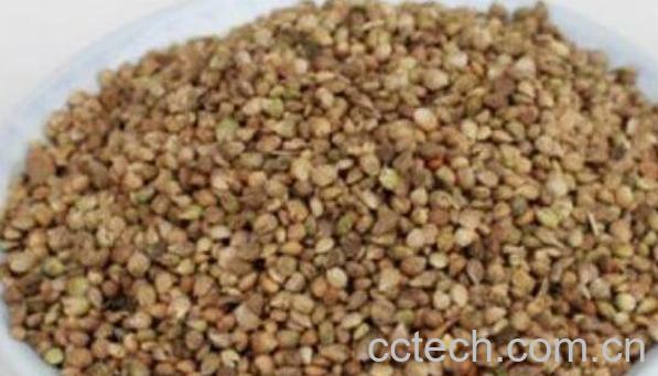 菠菜籽粉的功效与作用-0