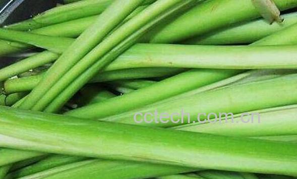 芋梗的功效与作用 芋梗的食用禁忌-1