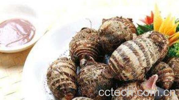 芋头的功效与作用 芋头的营养价值-1