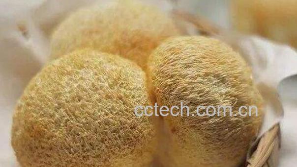 干猴头菇怎么吃最好-1