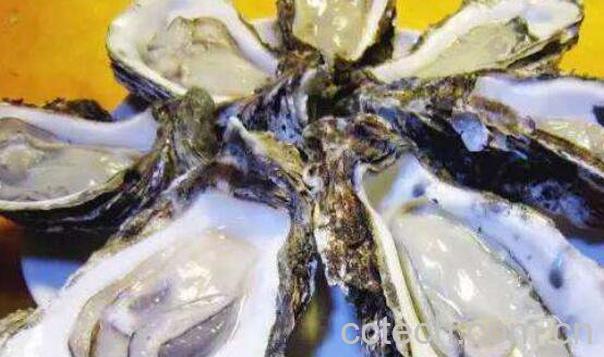 生蚝怎么吃 生蚝不能吃的部位图解-0