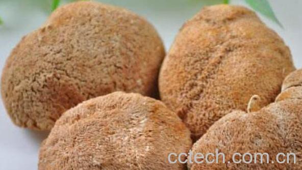 干猴头菇怎么泡发最好 干猴头菇一般泡多久-0