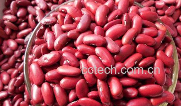 红芸豆-0