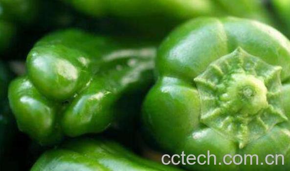 青椒的功效与作用有哪些-0