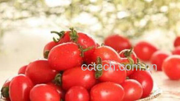 圣女果的功效与作用 圣女果怎么吃-0