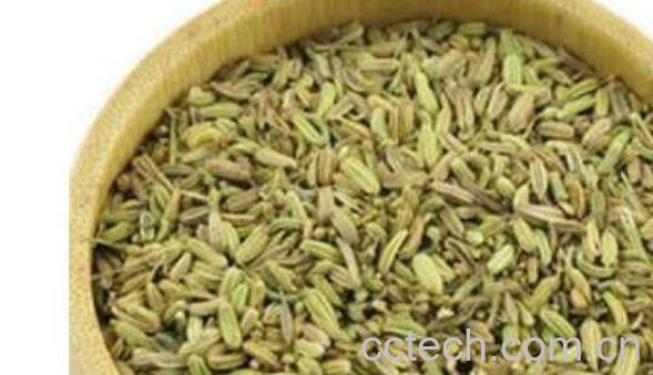 调料小茴香籽怎么用 小茴香籽的食用方法-0