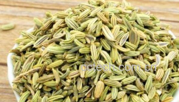 调料小茴香籽怎么用 小茴香籽的食用方法-1